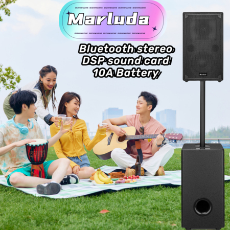 Marluda Bluetooth stereo DSP Dual Instrument Mx608
